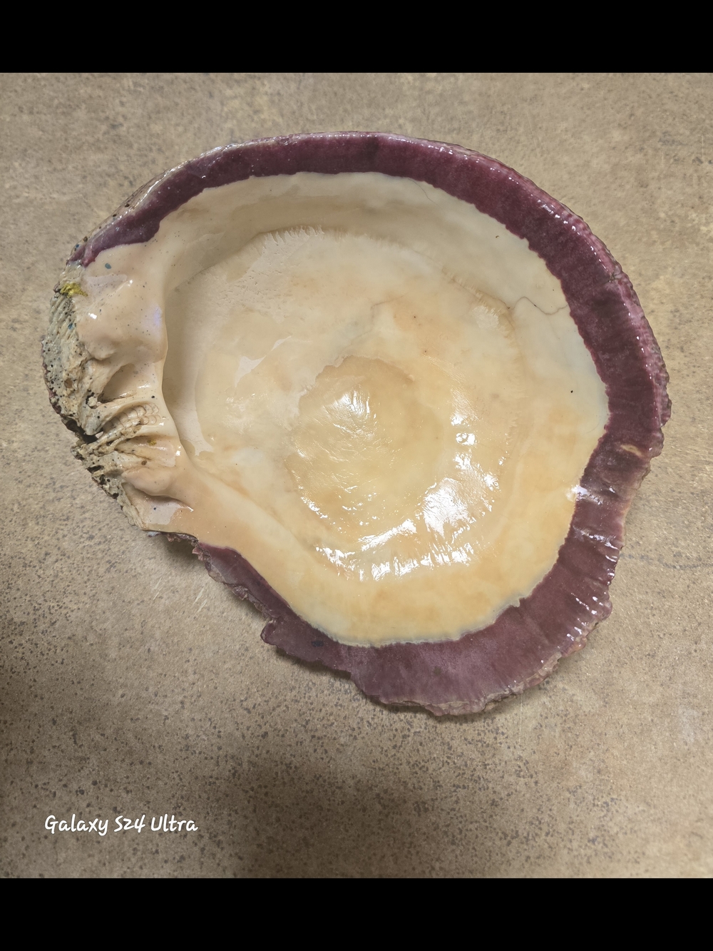 Handmade Ceramic Bowl with Purple Rim